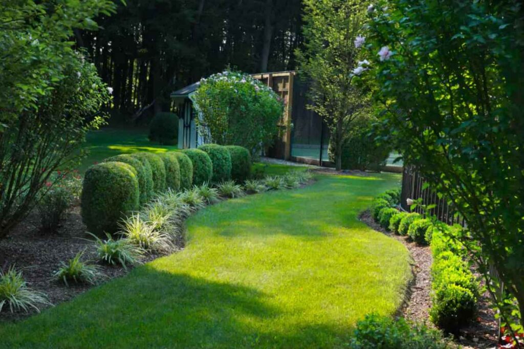 A Landscaped lawn during the summer by Freddy & Co