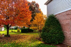 A brick and wood suburban home backyard garden with colorful autumn trees