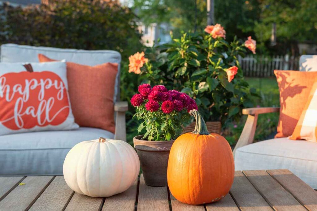 Backyard patio furniture styled for fall with two pumpkins